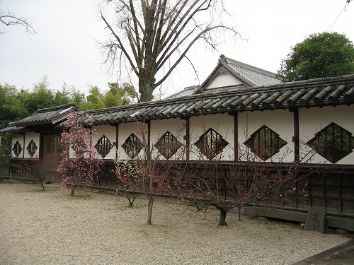 高伝寺山門7