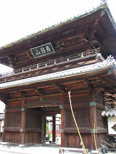高伝寺山門5