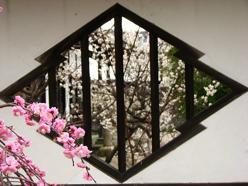 高伝寺山門9
