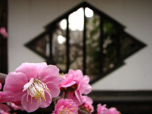 高伝寺山門12