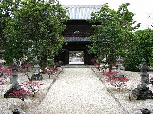 高伝寺山門3