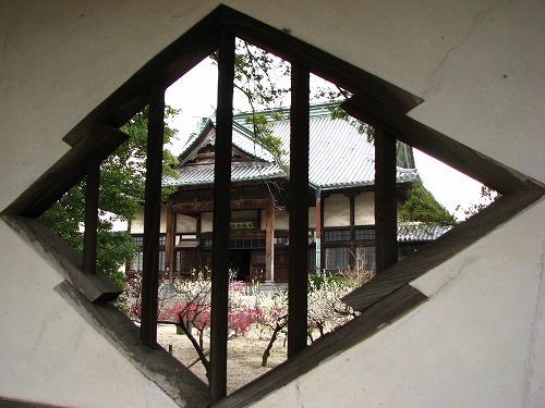 高伝寺山門18