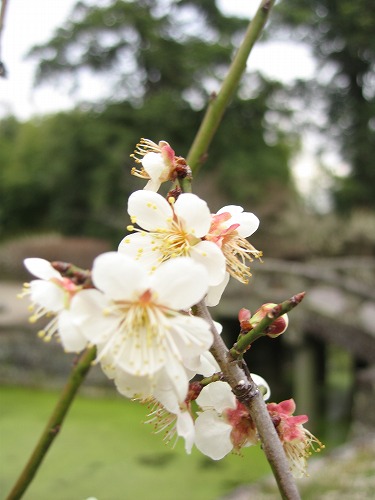 高伝寺6