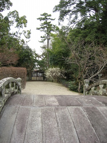 高伝寺5
