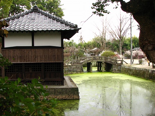 高伝寺1