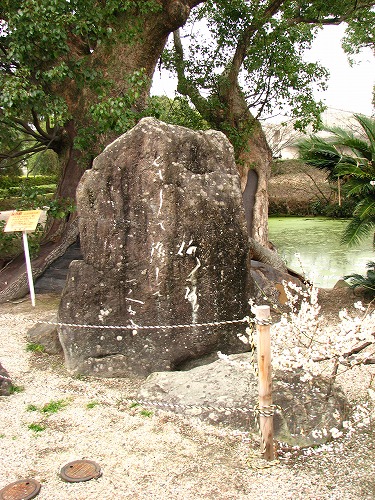 高伝寺10