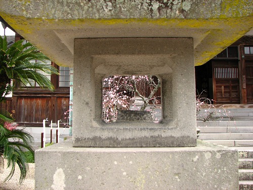 高伝寺13