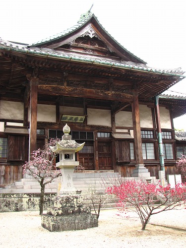 高伝寺15