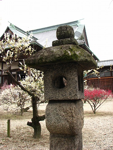 高伝寺12