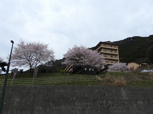 古湯温泉19