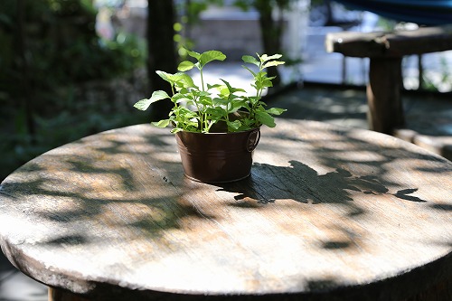 大和屋テラス8