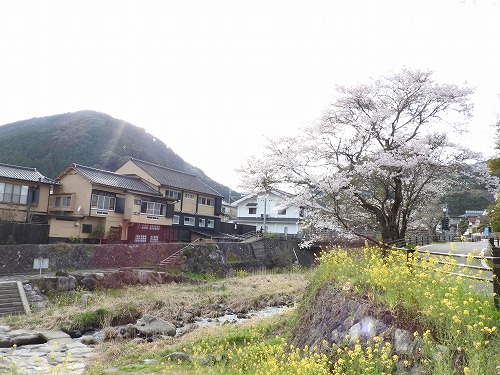 嘉瀬川河川公園1