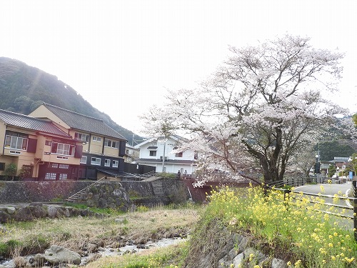 嘉瀬川河川公園2