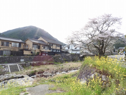 嘉瀬川河川公園3