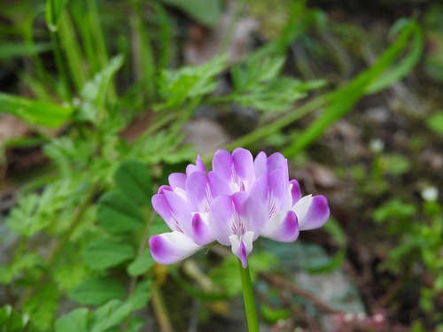 嘉瀬川河川公園15