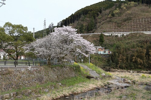 嘉瀬川河川公園14