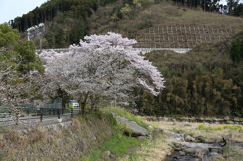 嘉瀬川河川公園13