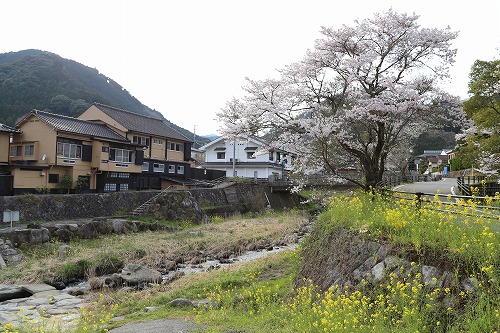 嘉瀬川河川公園12