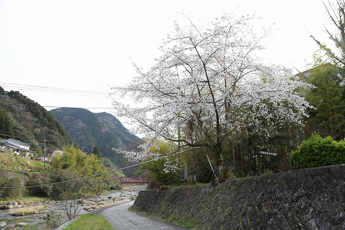 嘉瀬川河川公園11
