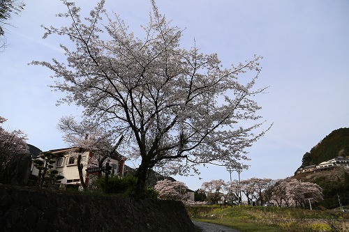 嘉瀬川河川公園10