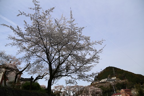 嘉瀬川河川公園9