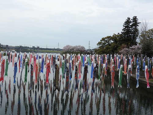 川上峡春まつり15
