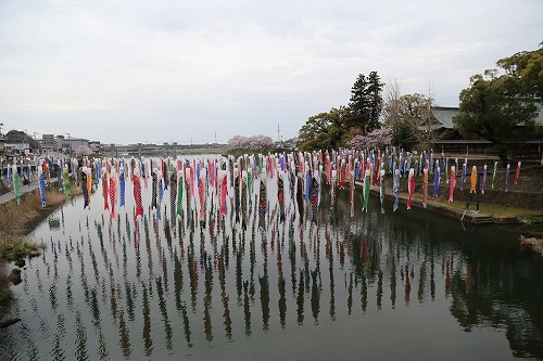 川上峡春まつり17