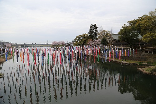 川上峡春まつり14