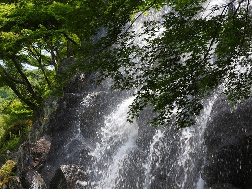 文殊の滝30