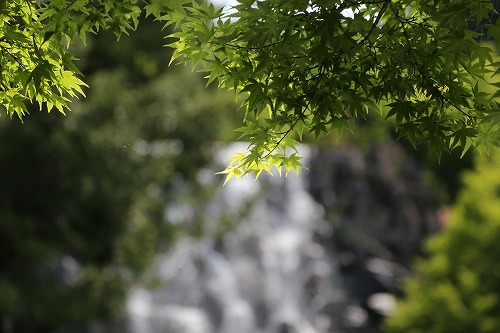 文殊の滝34