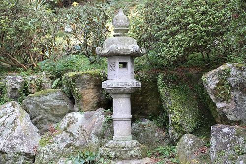 もみじ茶屋12