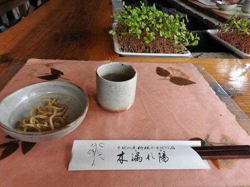 木漏れ陽5