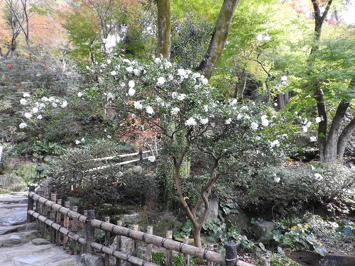 立石春美美術館12