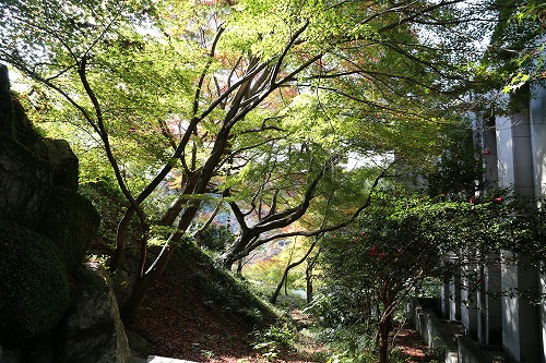 立石春美美術館11