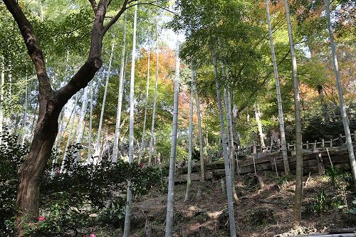 立石春美美術館18