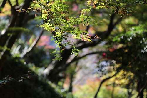 立石春美美術館19