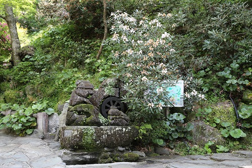 立石春美美術館28