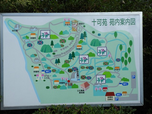 十可苑9