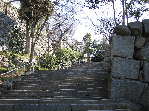 唐津城5