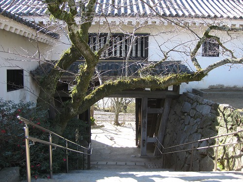 唐津城17