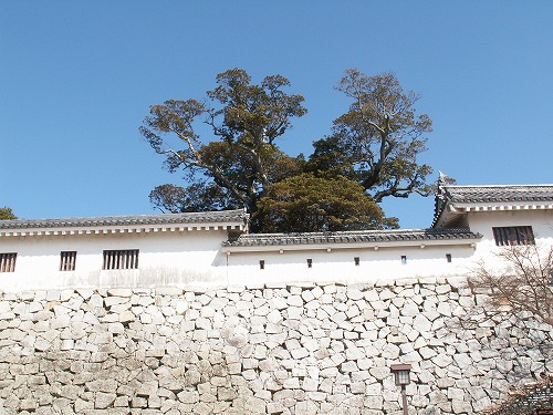 唐津城31