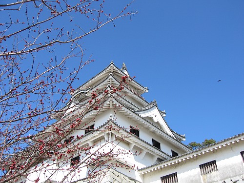 唐津城2
