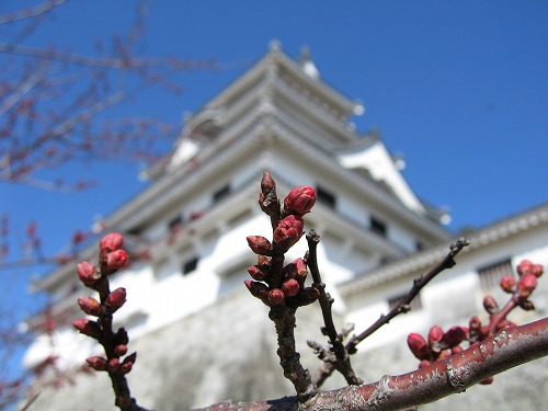 唐津城3