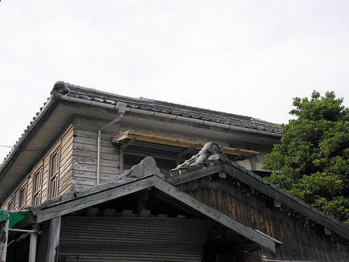 坂本鮮魚店12