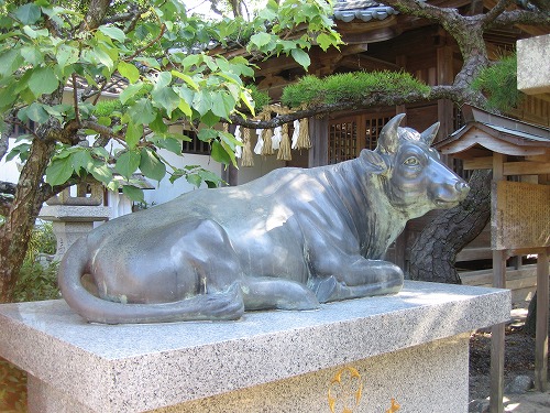唐津神社12