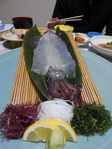 海舟15
