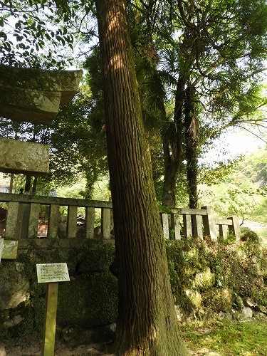 淀姫神社6