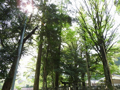 淀姫神社14