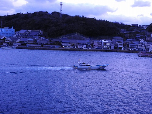 清力14