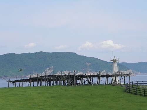 杉の原放牧場1